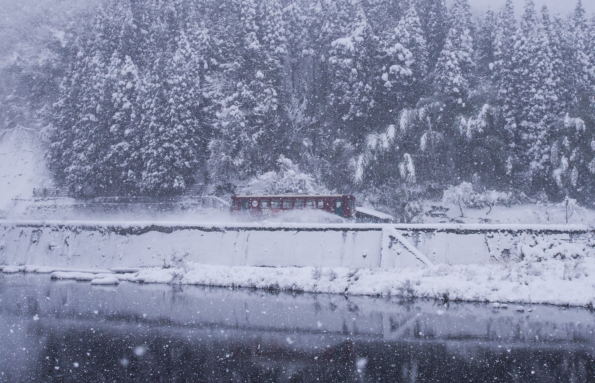 晩冬の長良川鉄道