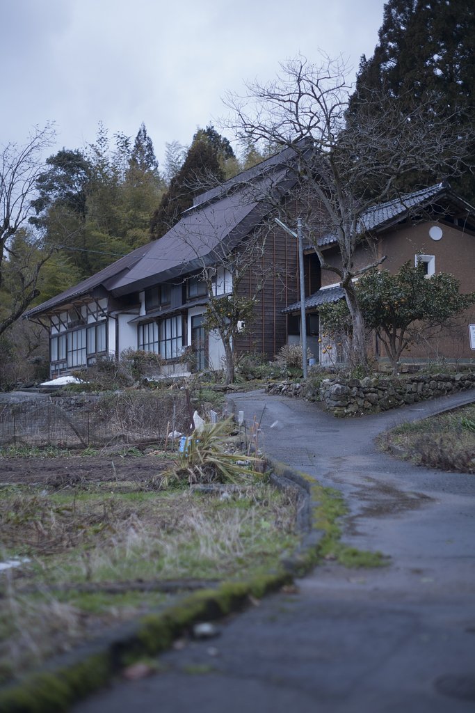 強風が