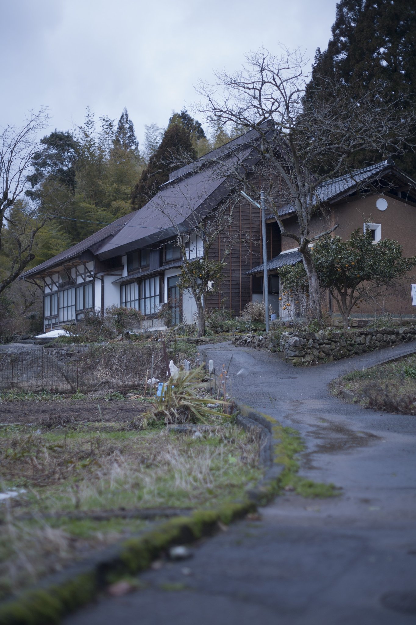 強風が