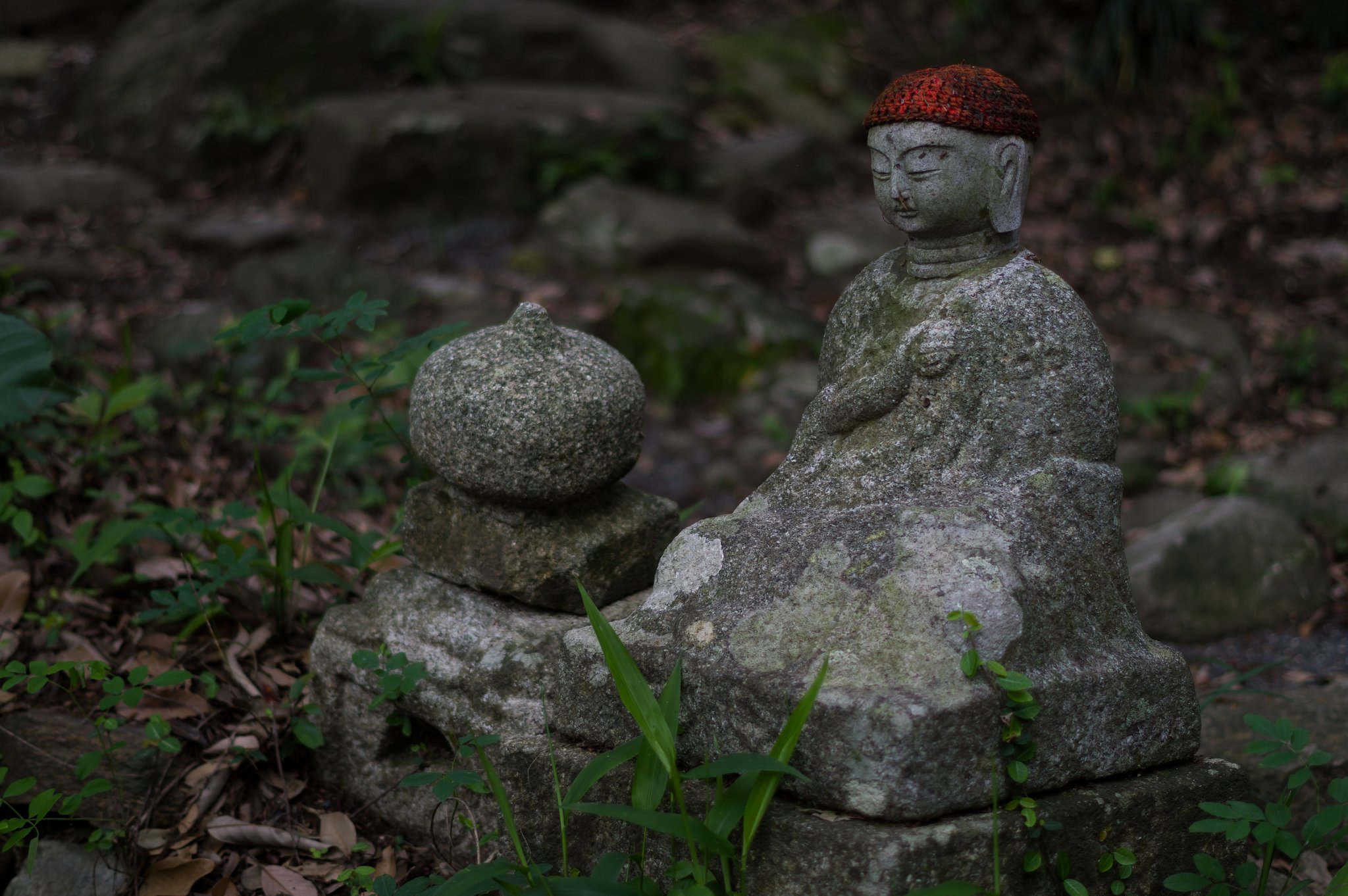 PENTAX-DA 50mmF1.8