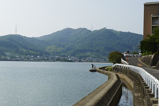 散歩撮影