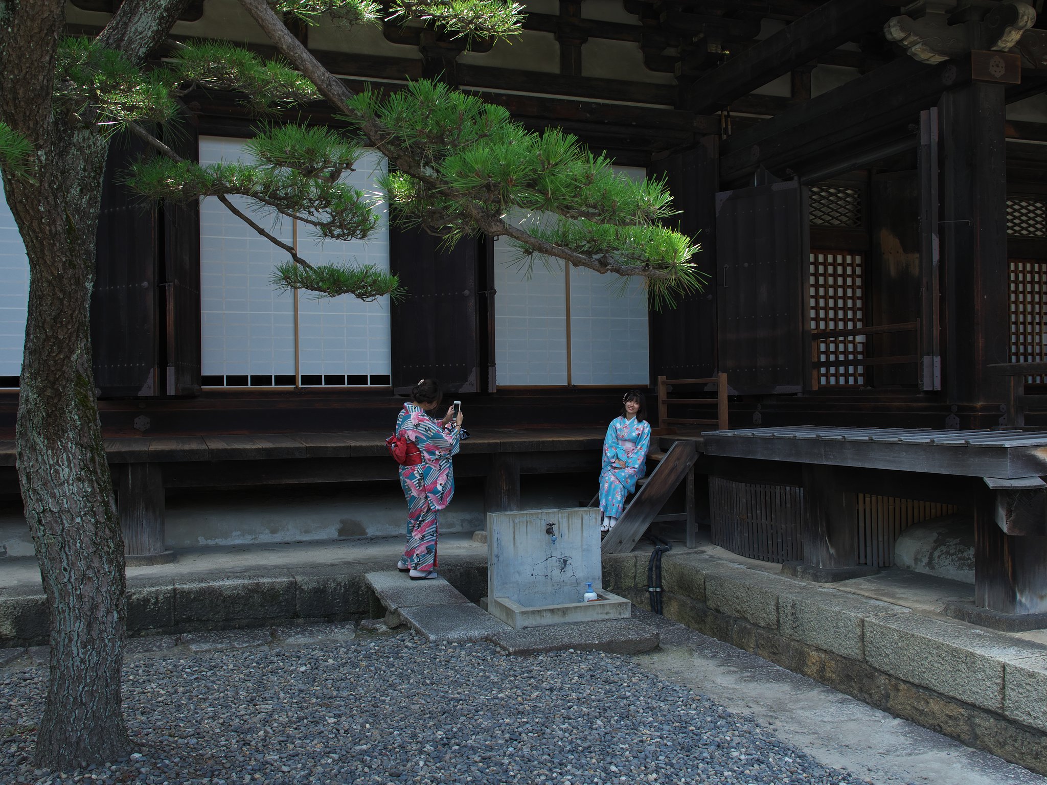 ED17mm F1.2 Pro