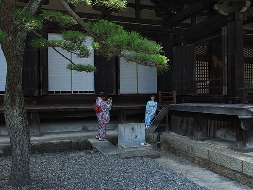 ED17mm F1.2 Pro