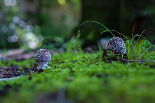 FUJINON XF35mm F1.4 R