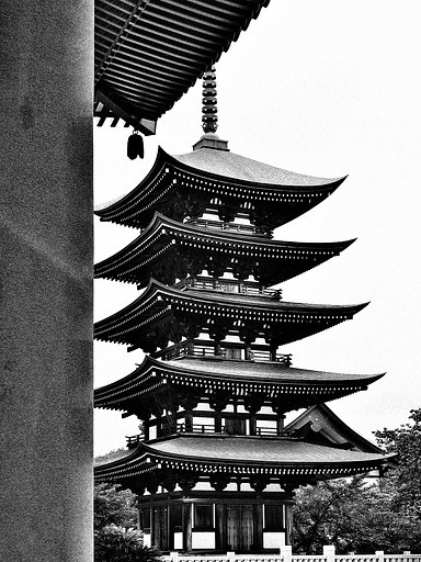 5月8日の写真