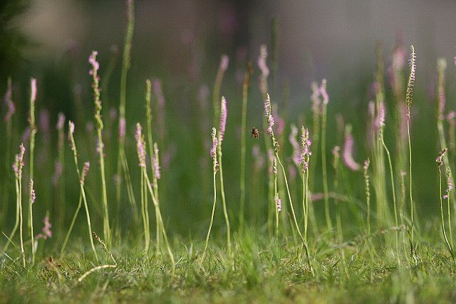 【淡】期待