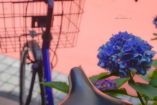 紫陽花色に染められて～