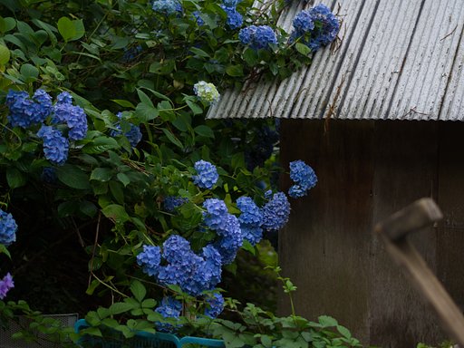 小屋