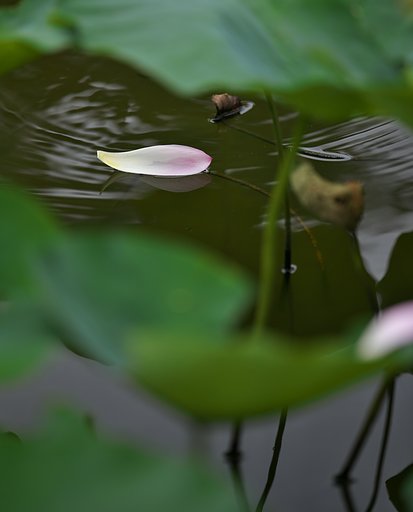 EF70-200mm F2.8L IS Ⅱ