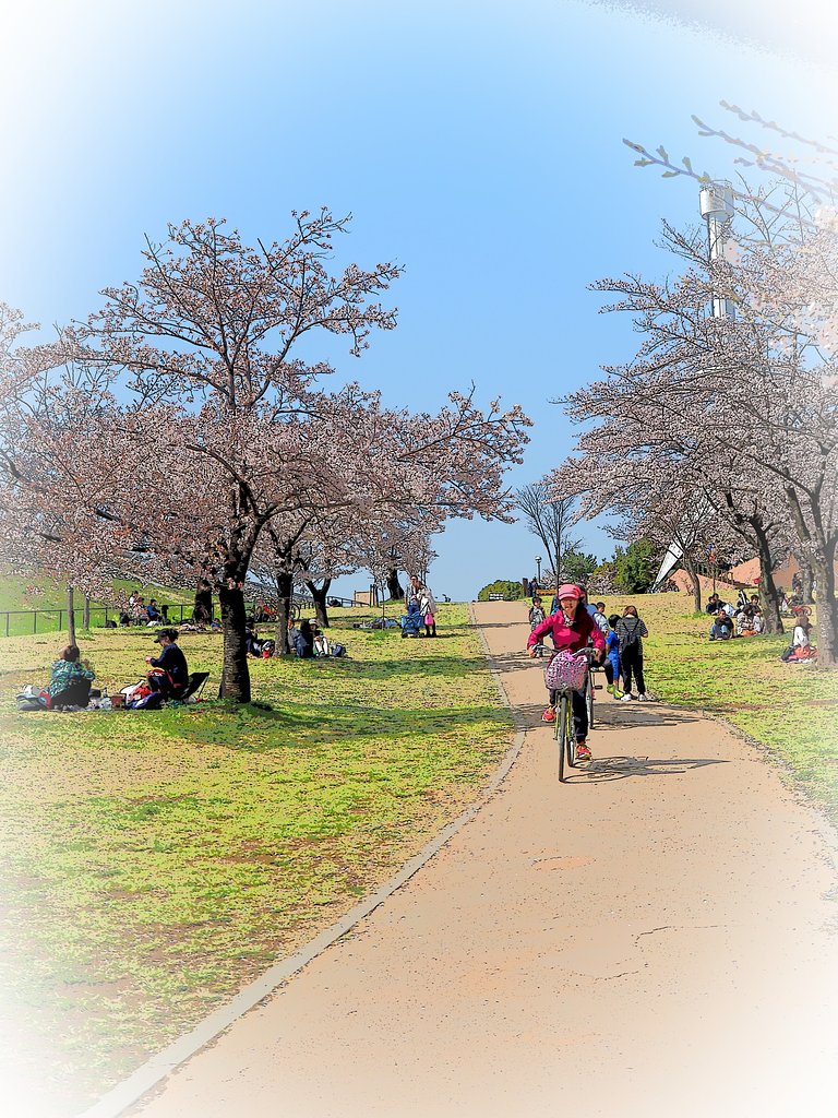 坂のある風景～狭山公園～