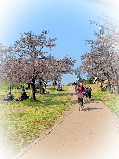 坂のある風景～狭山公園～
