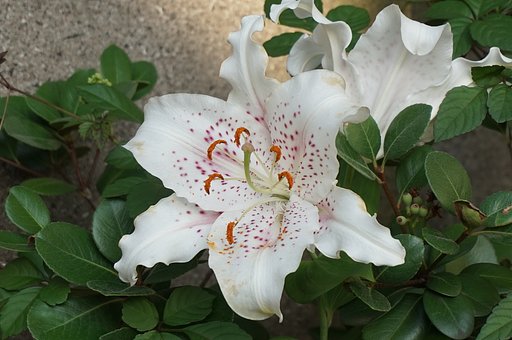 6月22日の写真
