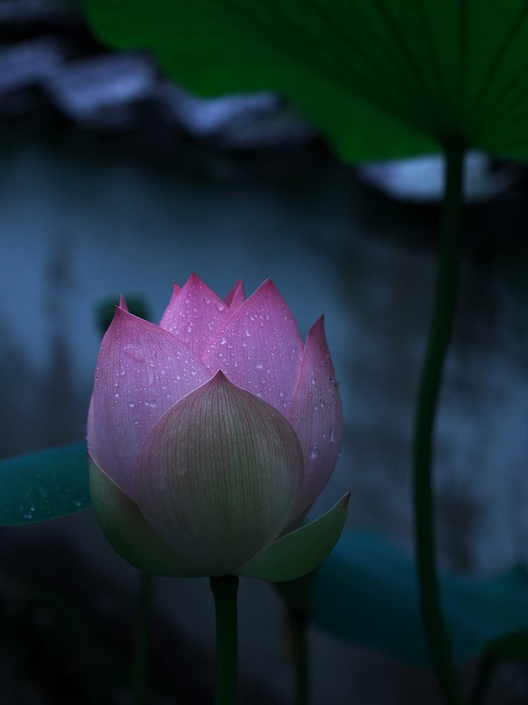 静寂