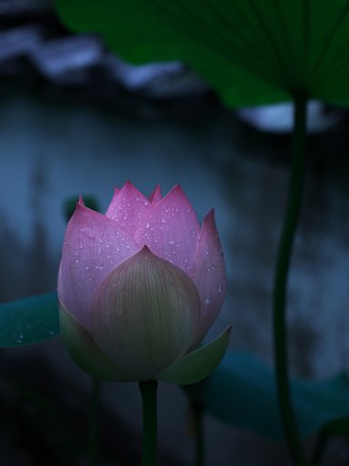 静寂