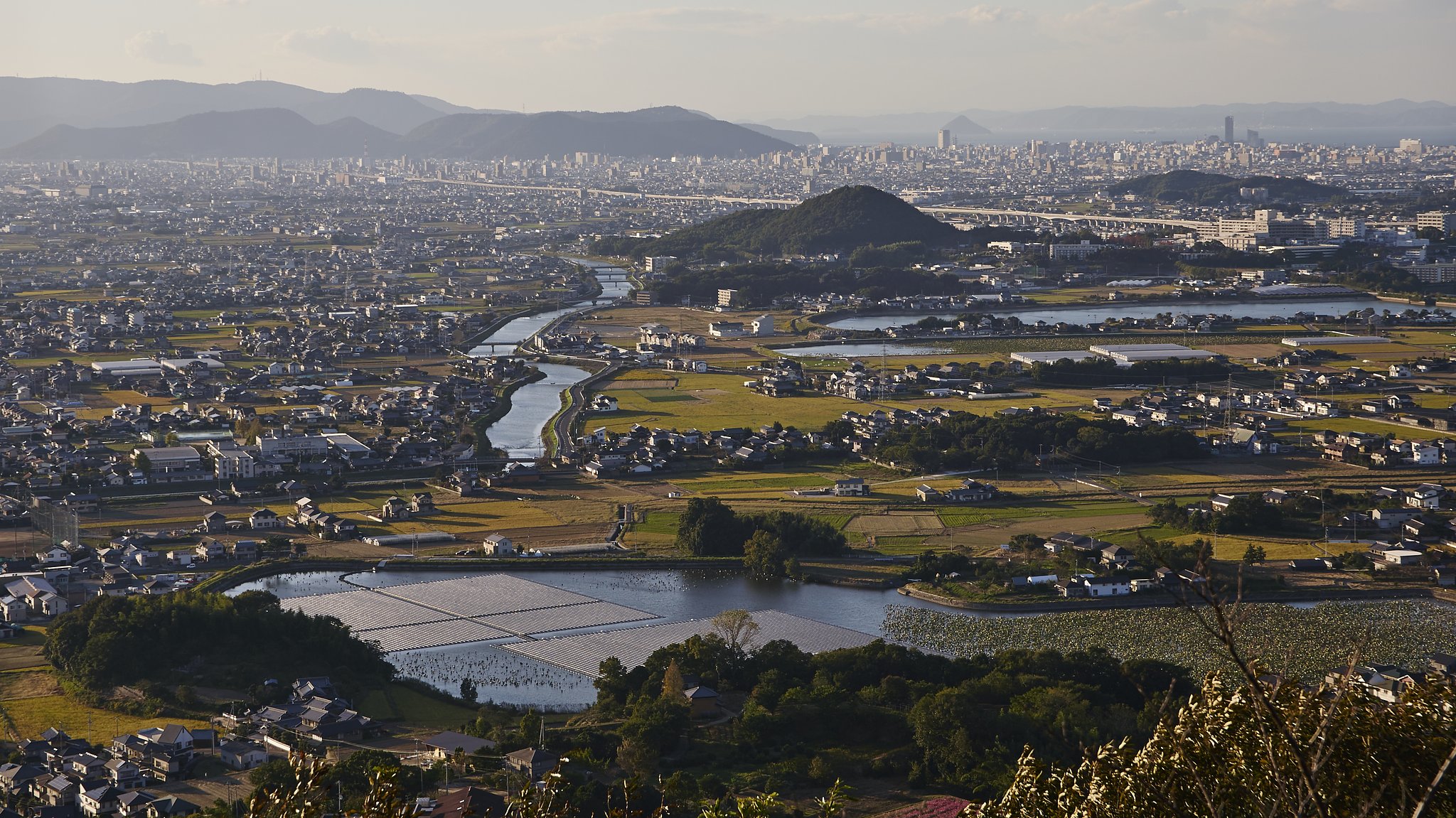 白山から
