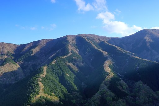 奈良の尾根