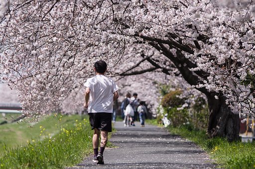 春を駆け抜けるⅡ