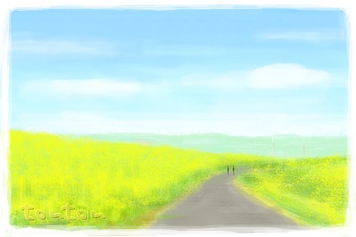 芥子菜満開【春景】淀堤防