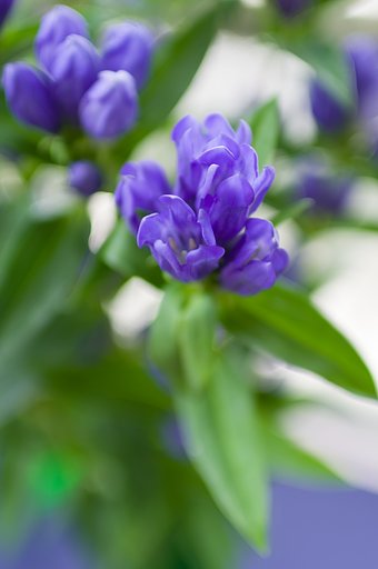 SIGMA 30mm F1.4 DC HSM