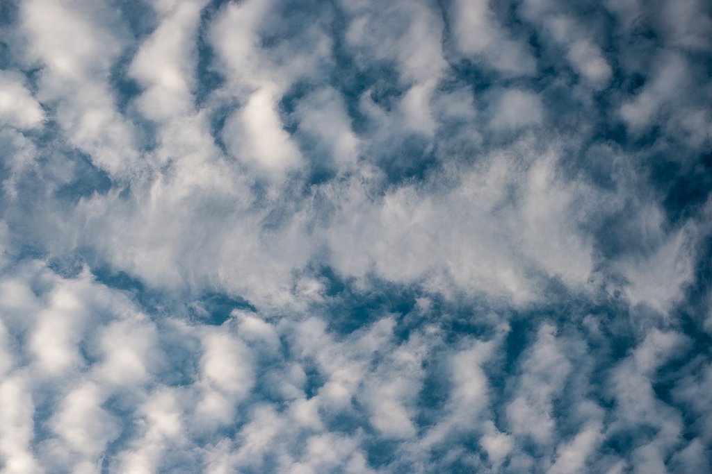 羊雲？