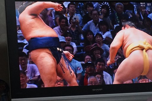 相撲ー３