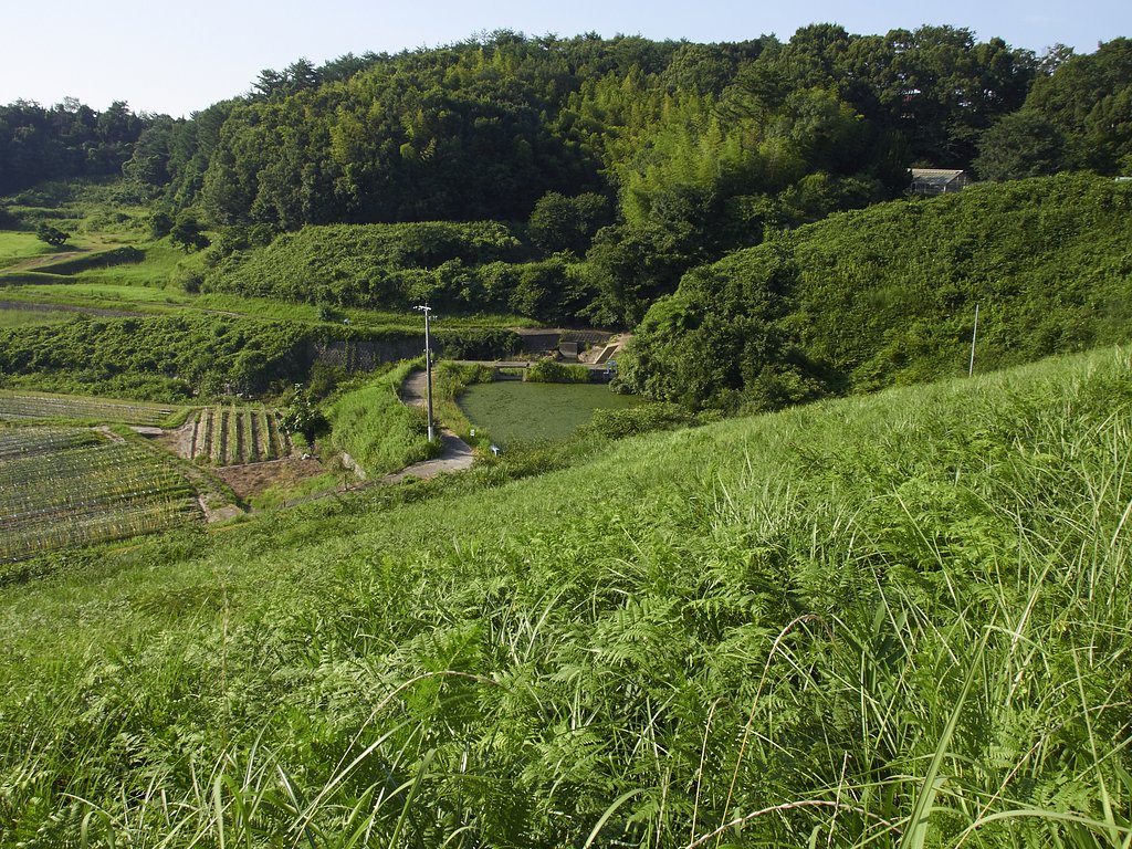 溜池
