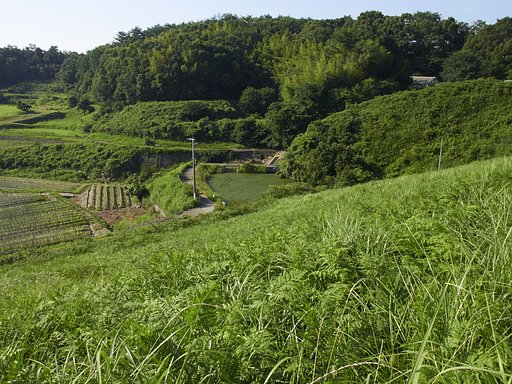 溜池