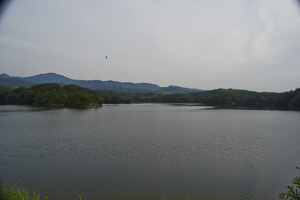 溜池散歩