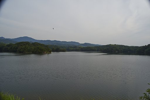 溜池散歩