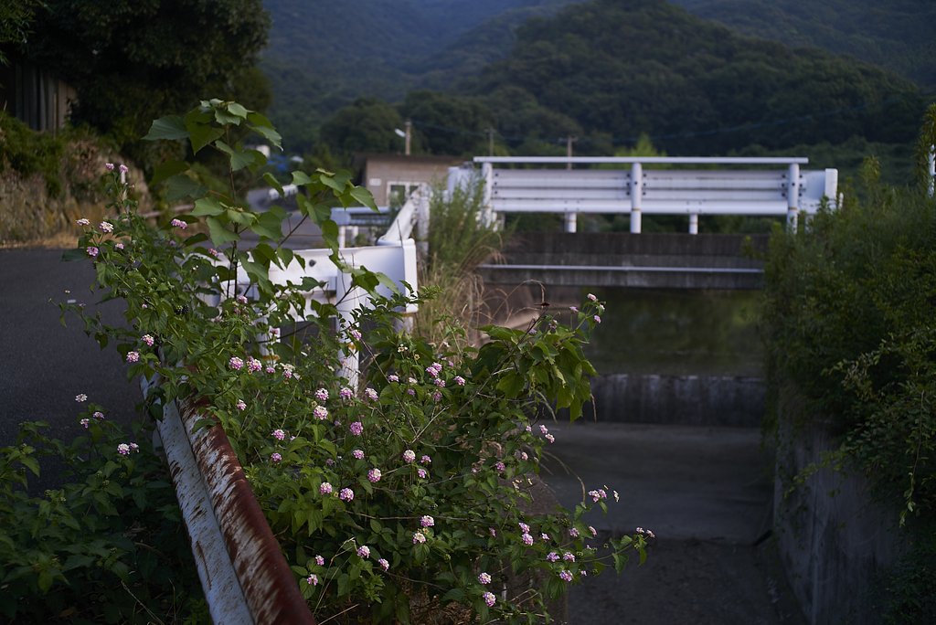 夕暮れ散歩