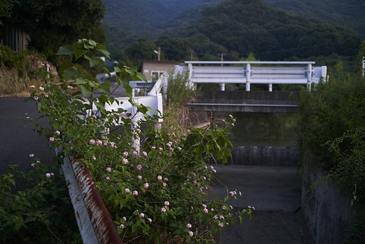 夕暮れ散歩