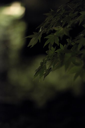 御誕辰際