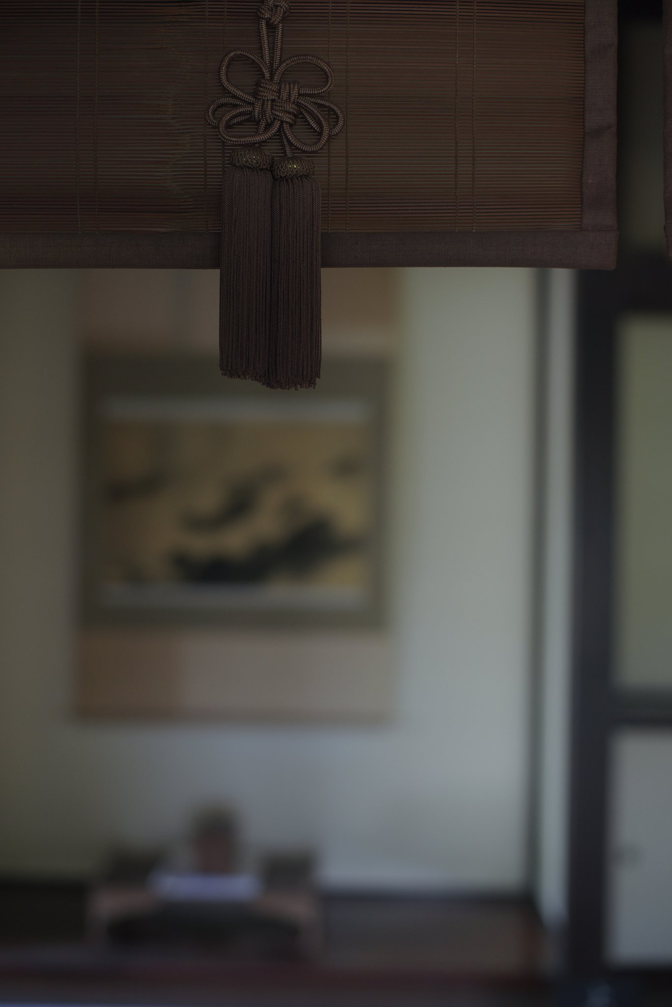 Y/C  P50mmF1.7