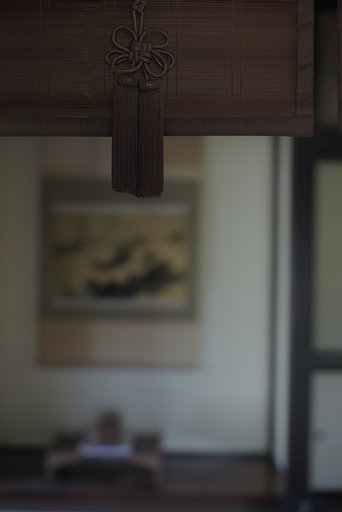 Y/C  P50mmF1.7