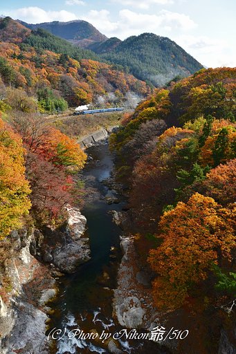 晩秋の諏訪峡