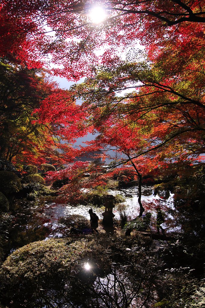 安芸太田町　吉水園