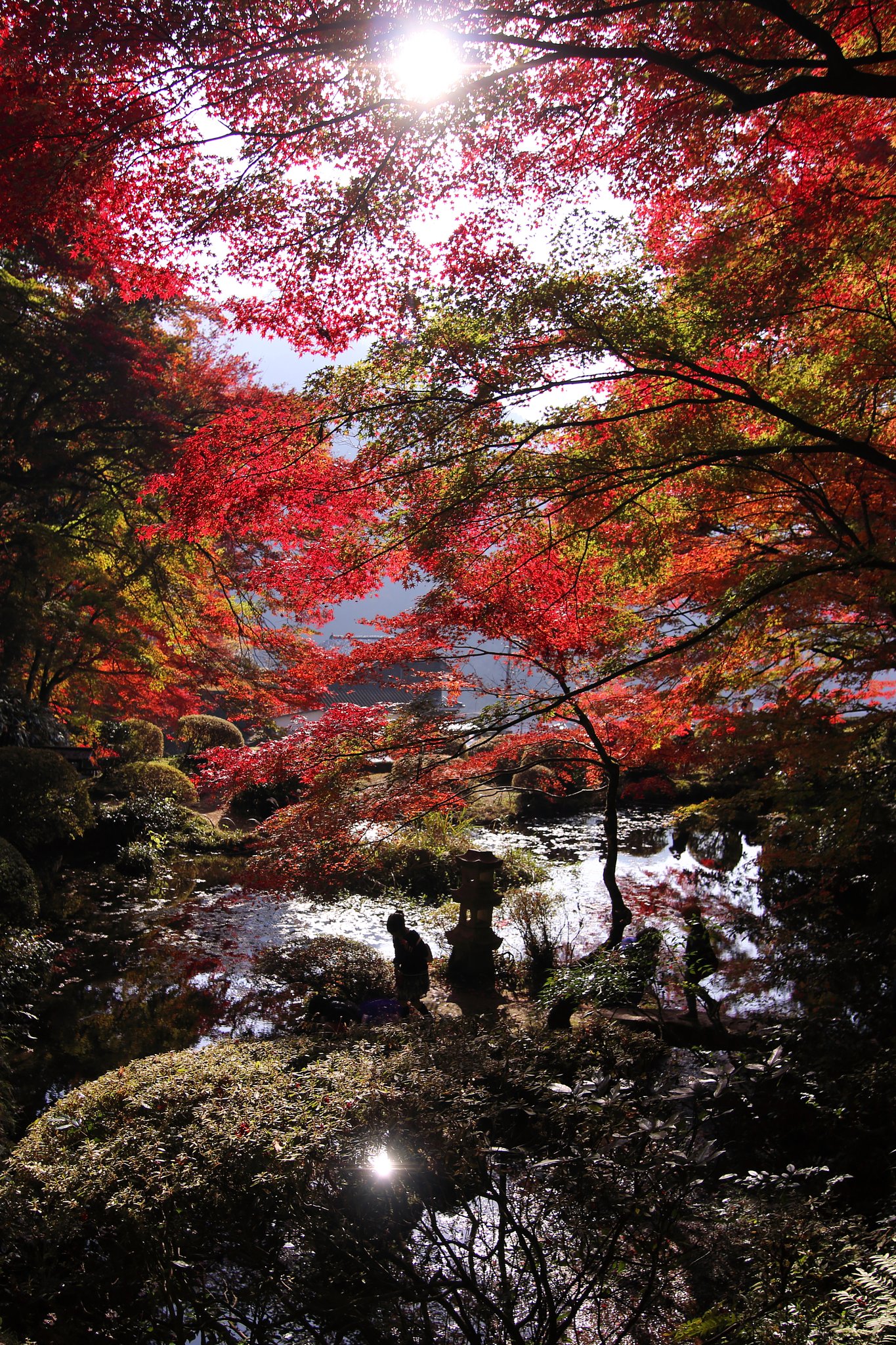 安芸太田町　吉水園
