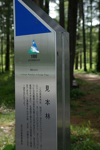 金属光沢と青