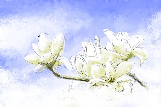 空の華【桜花】木蓮スケッチ
