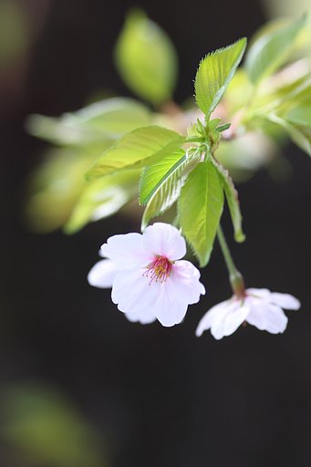 .季節が鮮やかに交替していく　2018