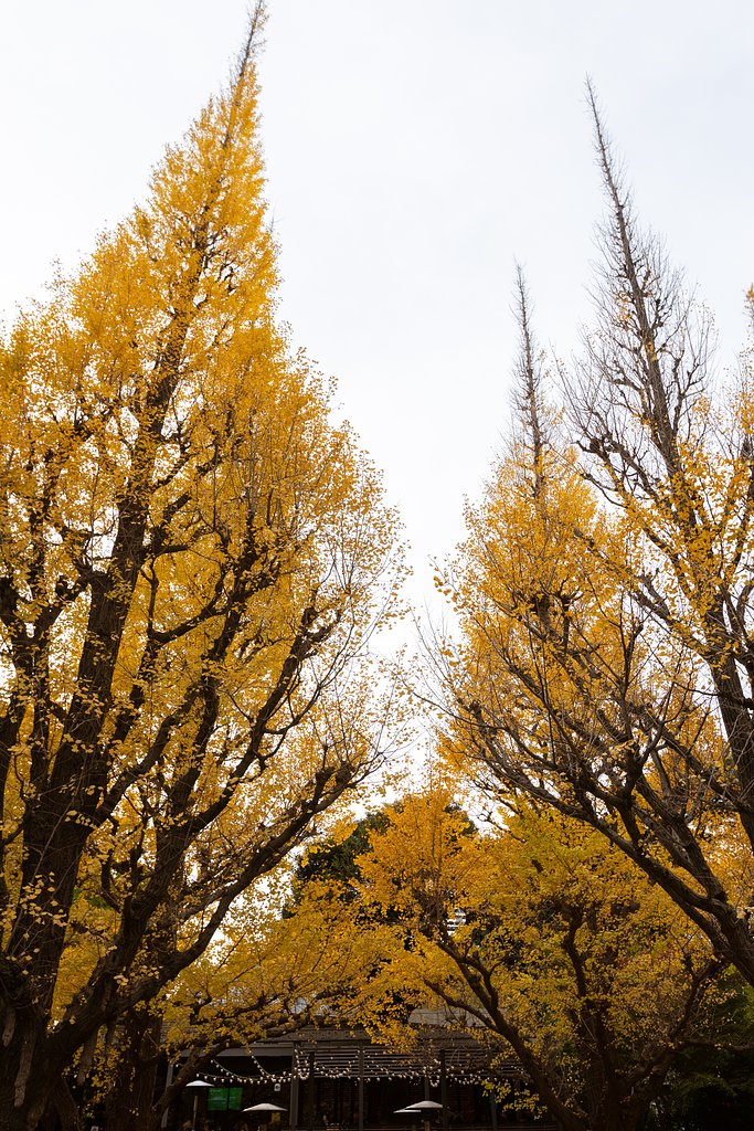 EF16-35mm F2.8 L