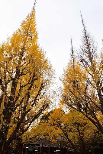 EF16-35mm F2.8 L