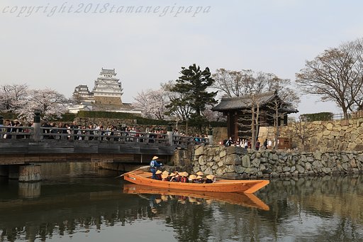 水辺のひと時