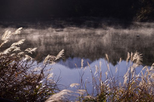 静かな朝～精進湖～