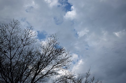 空