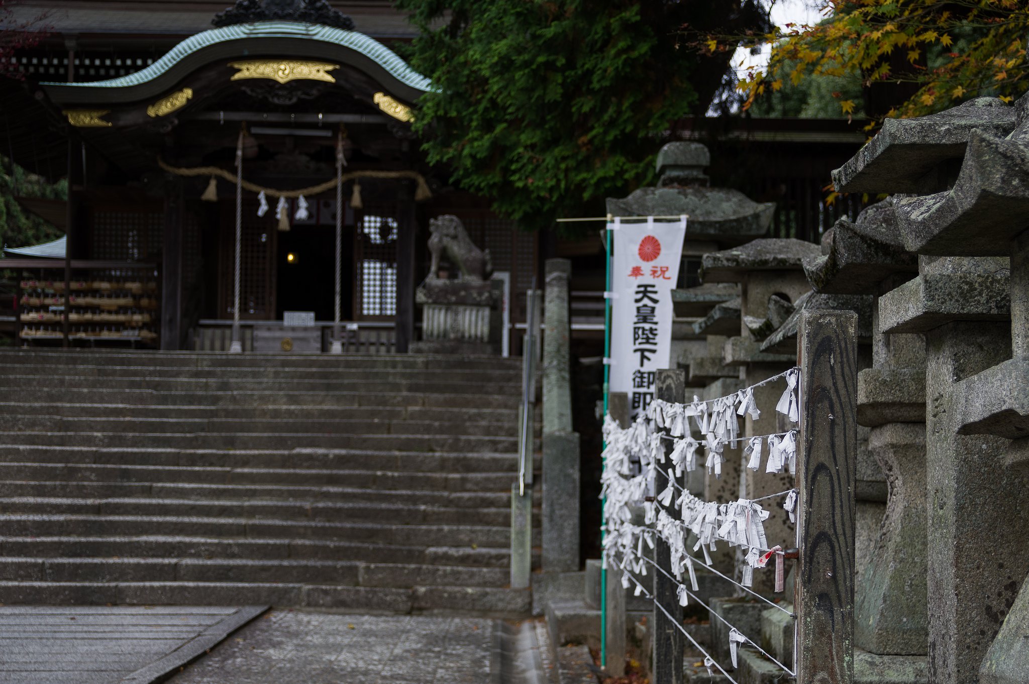 SIGMA 17-50mm F2.8 EX DC HSM 