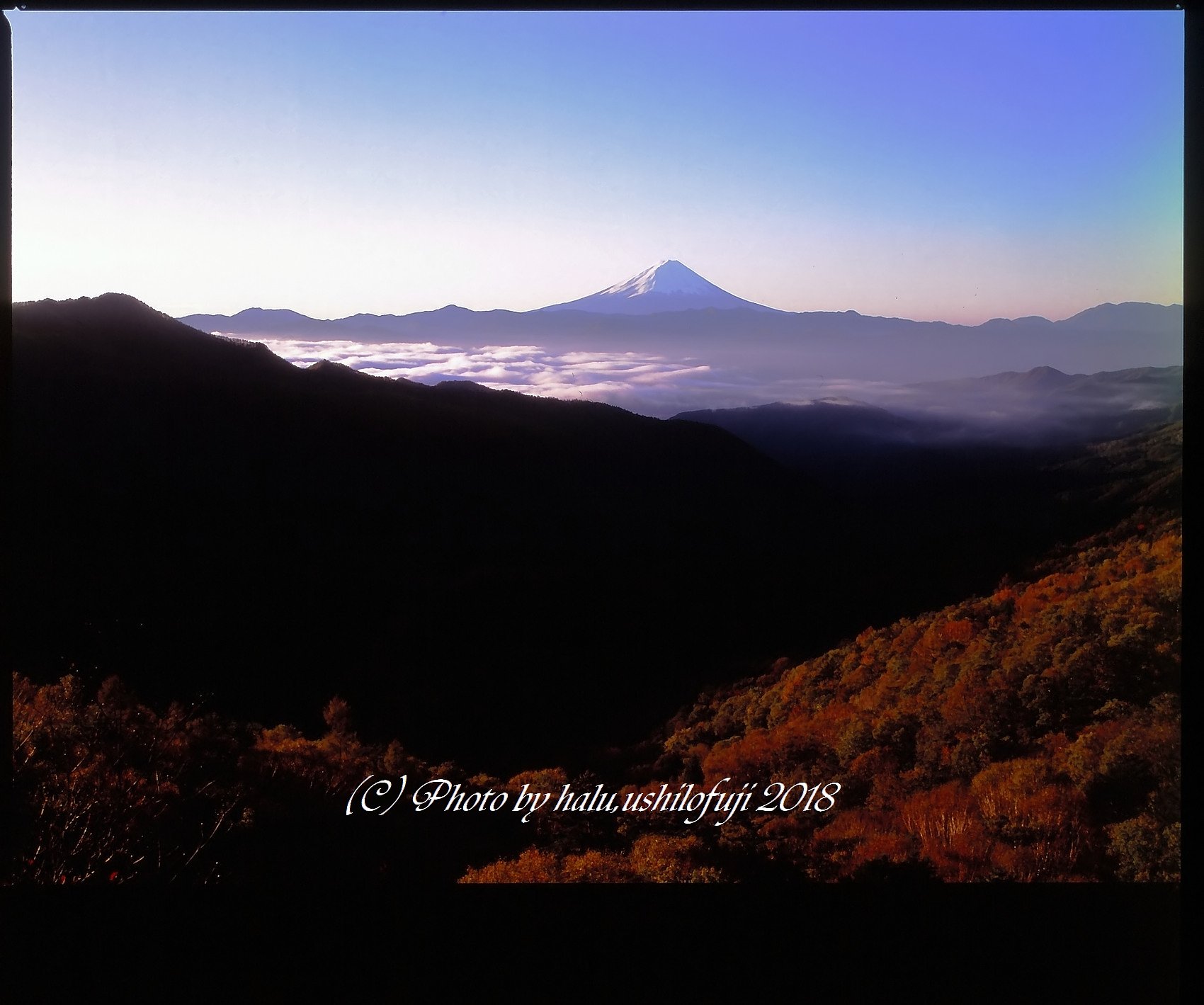 645の朝景