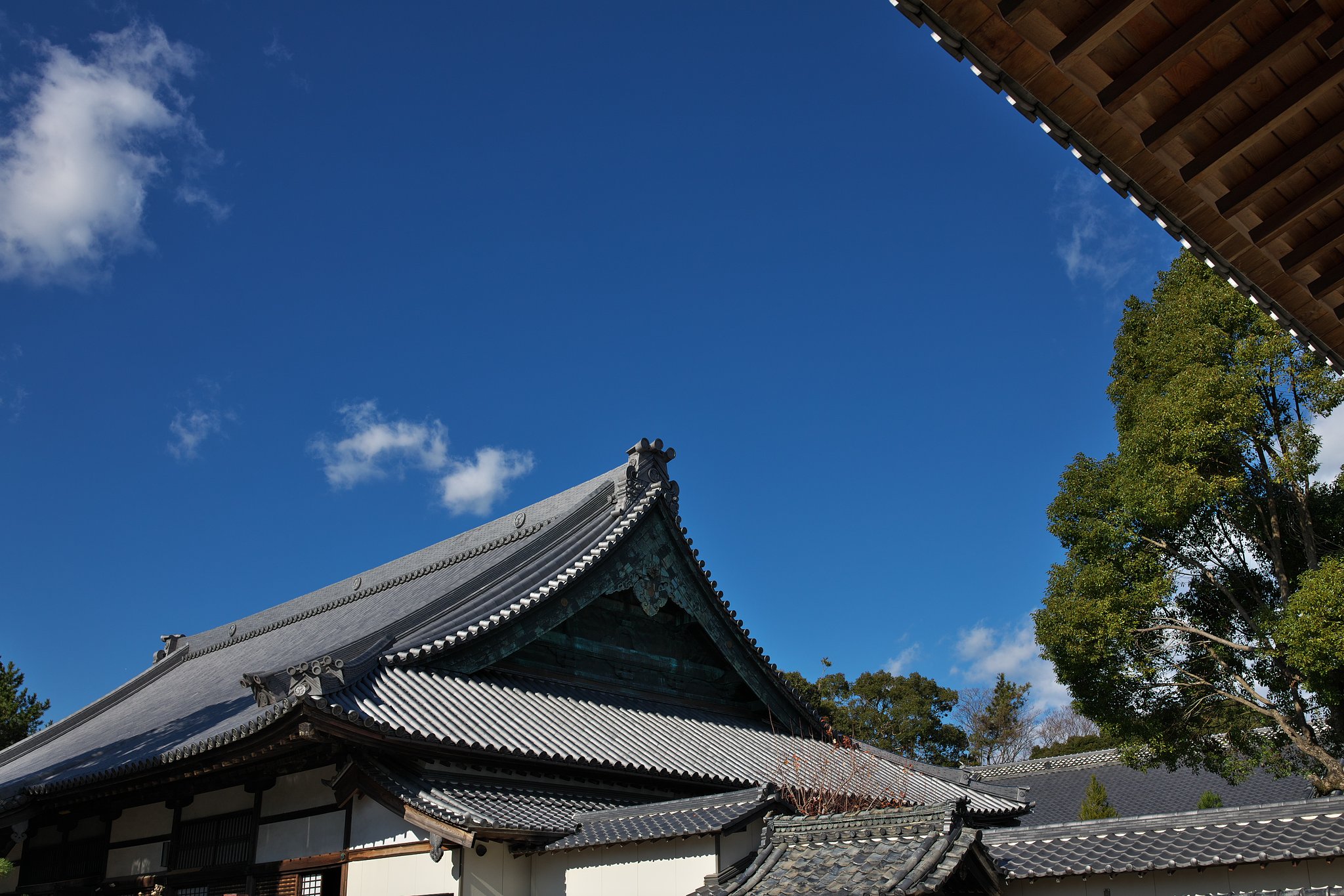 EF35mm F1.4LⅡ