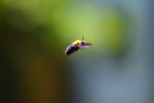 私　今飛んでいます。
