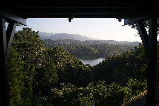 溜池逍遥 